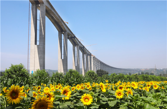 弘農澗河特大橋